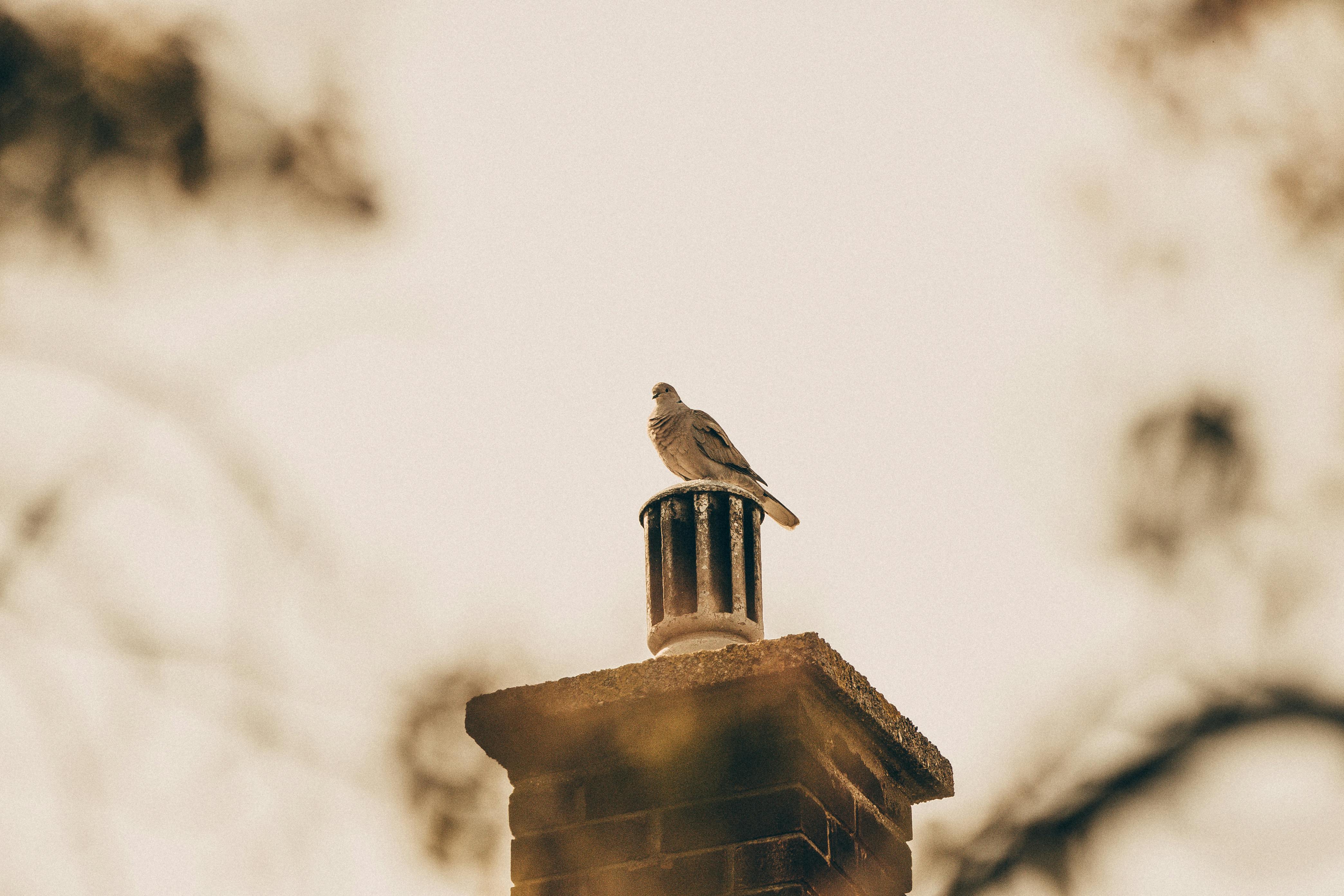 Quality Chimney Caps and Dampers Installation in Lancaster, TX Professional Chimney Cap and Damper In Lancaster Texas